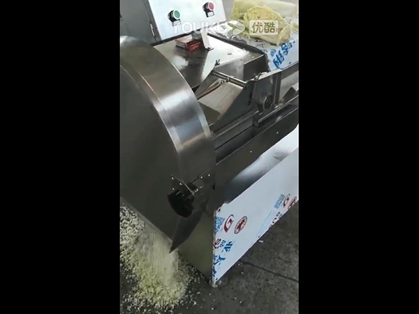 2000型蔬菜顆粒機